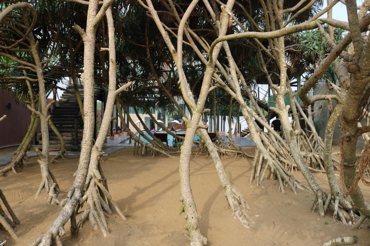 Saprin Beach Resort Uswetakeiyawa Exteriér fotografie